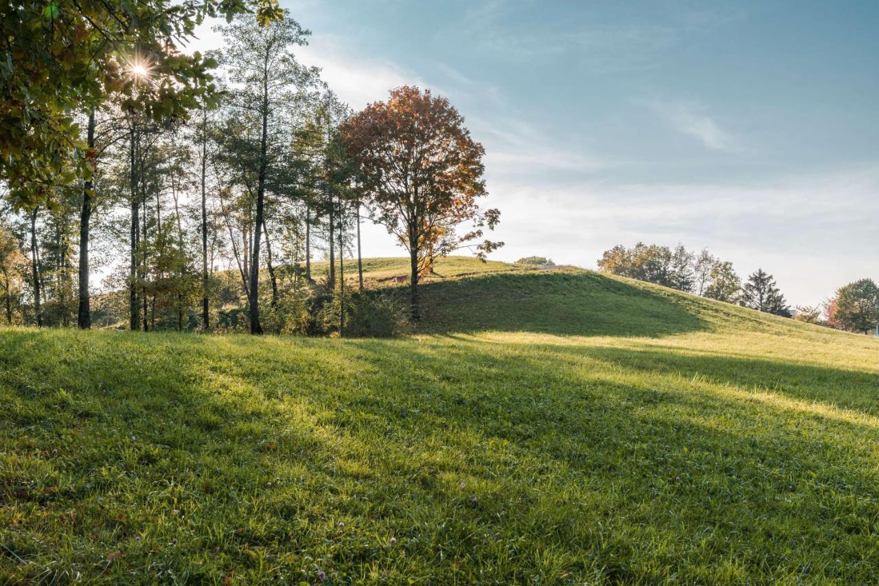 Hyatt Regency Zurich Airport Circle 4*